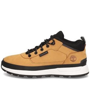 Timberland Field Trekker Low Lace - Braun