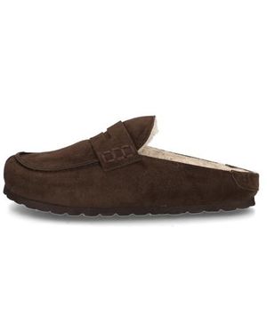 Verbenas Movy Coccon - Braun