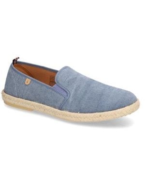 Verbenas Troy Pacific - Blau