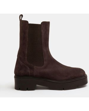 Hush Chunky Suede Chelsea Boots - Brown