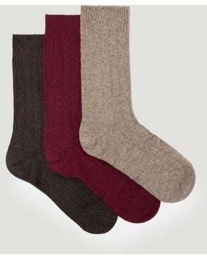 Hush Murica Wool Blend 3 Pack Socks Set - Red