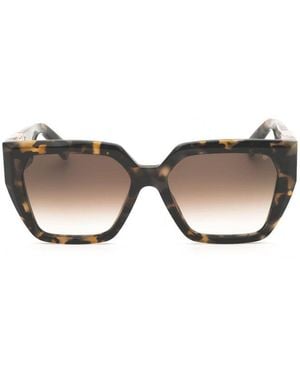 Philipp Plein Sunglasses Square Full Rim, Dark Havana Frame And Light Lens Spp16004Bl - Brown