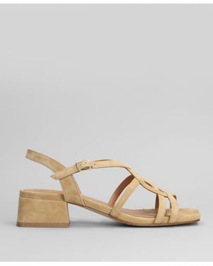 Julie Dee Sandals - Multicolor