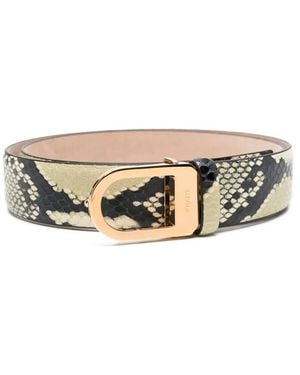 KHAITE Belt - Metallic