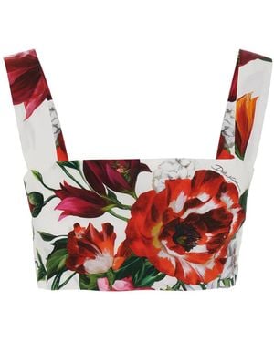 Dolce & Gabbana Croped Top With Square Neck And All-Over Floral Design - Red