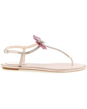 Rene Caovilla Renã Caovilla 'Fairy' Sandals - Multicolour