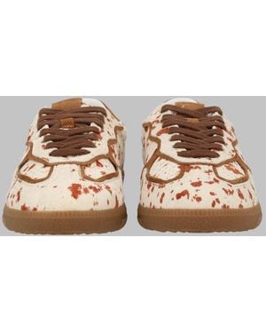 Alohas Trainers Tb.490 Rife Leather Trainers - Brown