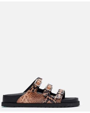Birkenstock Florida Snake Leather 1774 - Multicolour