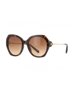 Chopard Sunglasses Round Full Rim, Shiny Havana- Frame And Gradient Lens Sch354V0743 - Brown
