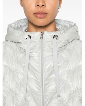 Herno Coats - Grey