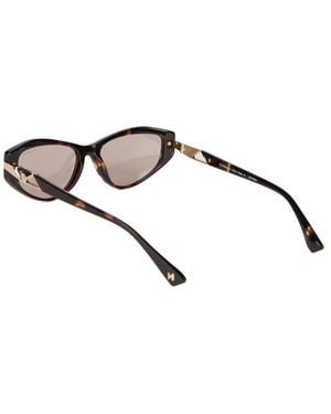 Hickmann Sunglasses Tortoise- Acetate Eyewear - Metallic