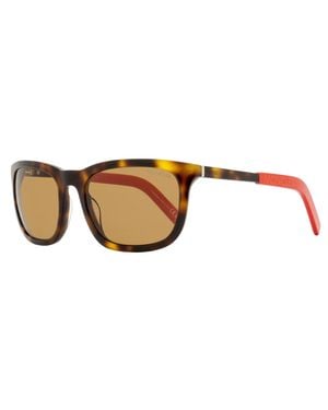 Moncler Kolligian Sunglasses Ml0290 52E Havana- 57Mm Plastic (Acetate) - Black