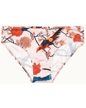 Orlebar Brown Dachshund Flight Of Fantasy-277917-Rose, Clothing - Pink