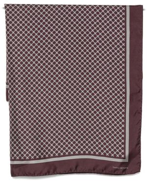Tagliatore Silky Scarves - Purple