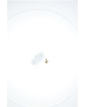 Celine Brooch-Dark/Dark Brooches & Pins - White