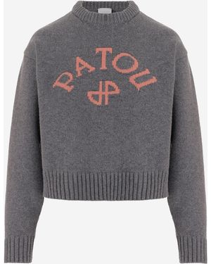 Patou Sweater Wool And Cashmere - Gray