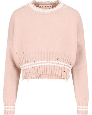 Marni Sweaters Cotton - Pink