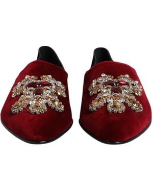 Dolce & Gabbana Velvet Embellished Slip On Shoes And Cotton Capra - Red
