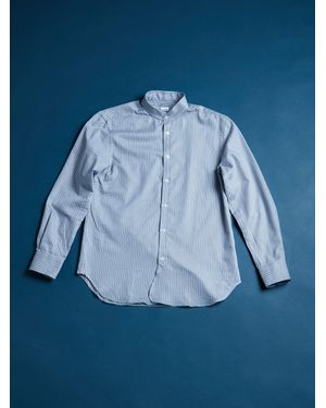 Doppiaa Aamilcare/H5119 - Blue