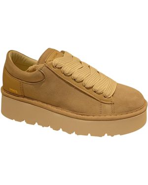 Pànchic Laceup Shoe Suede Leather - Brown