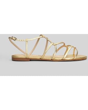 Werner Flats - Metallic