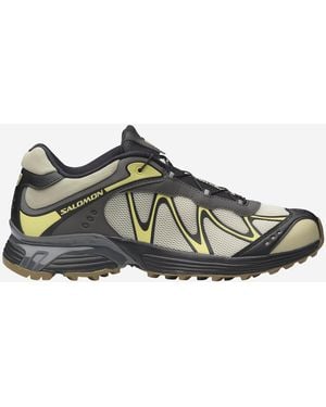 Salomon Sneakers Xt-Whisper Mesh - Green