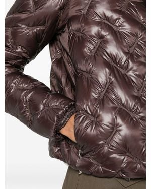 Herno Coats - Brown