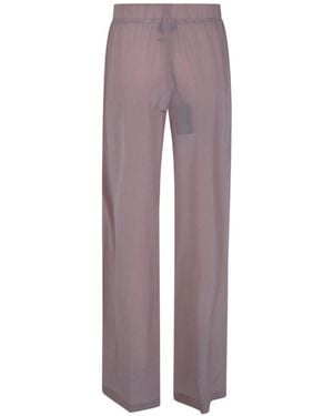 Seventy Pants -1626 - Purple