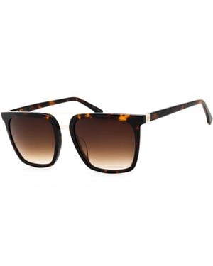 Gap Gap Sgp006 Tortoiseshell Gradient Sunglasses - Black