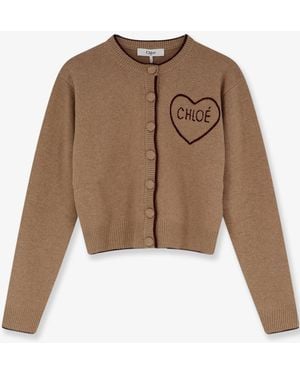 Chloé Wool And Cashmere Wool Cardigan - Brown