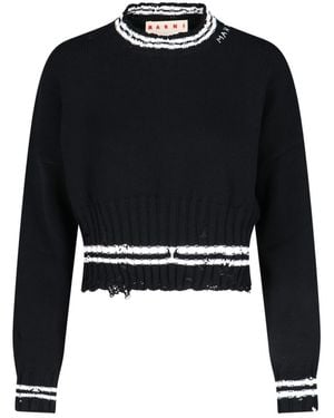 Marni Sweaters Cotton - Black
