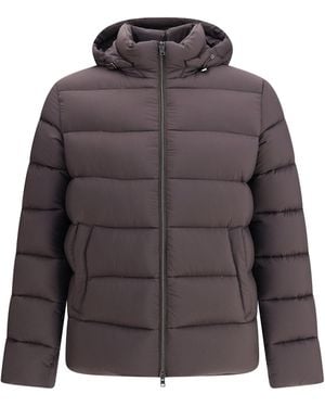 Herno Hooded Bomber - Purple