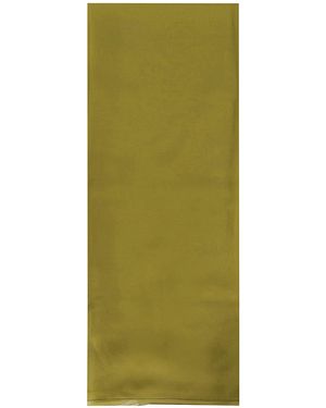 Alberta Ferretti Sciarpa Chiffon Organico - Green