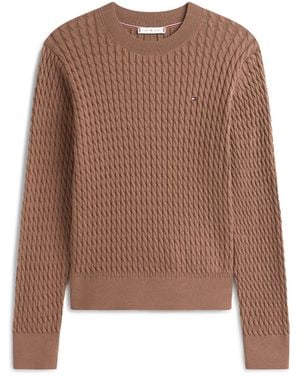Tommy Hilfiger Sweaters - Brown