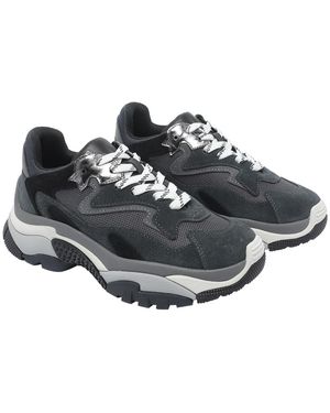 Ash Trainers - Grey