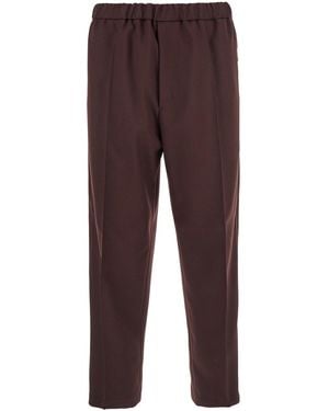 Jil Sander Bordeaux Pants With Elastic Waist - Brown