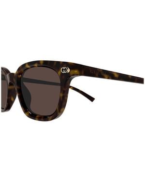 Gucci Gg1946S-002Havana-Havana - Black