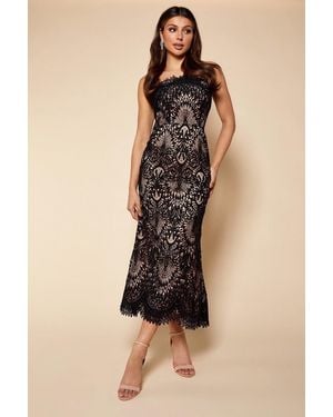 Jarlo Victoria All Over Lace Strapless Midi Dress - Black