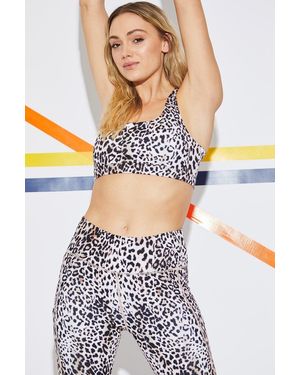 Jayley Mocha Sophia Sport Bra - Black