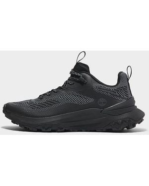 Timberland Low Lace Up Trainer - Black
