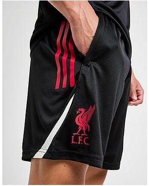 adidas Liverpool Fc Training Shorts - Black