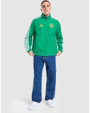 adidas Veste Anthem Domicile Celtic Fc - Vert