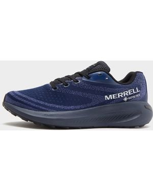 Merrell Morphlite Gore-Tex - Bleu