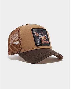Goorin Bros Doberman Cap - Black