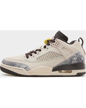 Nike Spizike Low Femme - Noir