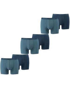 Head Trunk - Blau