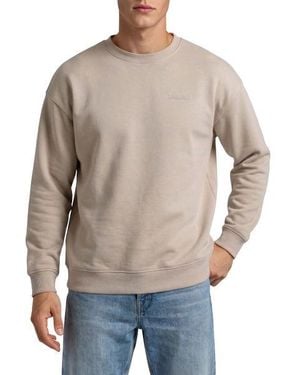 DENIMFY Pullover Herren Oversize Fit Mit Druck Dfkeno - Grau