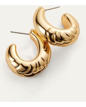 Jenny Bird Slim Nelle Hoop Earrings - Metallic