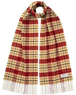 Johnstons of Elgin Festive Check Cashmere Scarf Camel - Orange