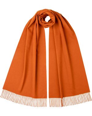 Johnstons of Elgin Ultrafine Merino Scarf Burnt Sienna - Orange